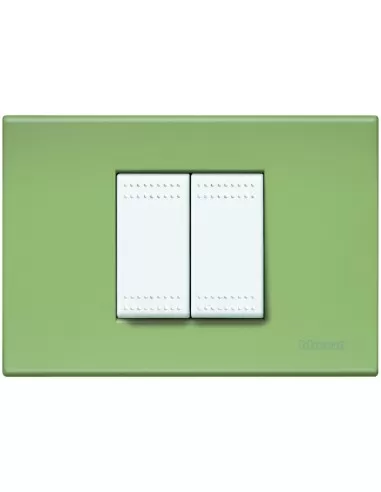 Bticino assiette 2 places vert thé clair n4819ve