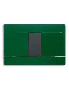 Plaque en technopolymère Ave RAL 45 brillant 1 module vert anglais 45P01VI série blanche