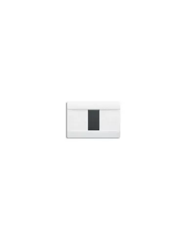 PLACA RAL45 1 MODELO NEGRO BRILLO