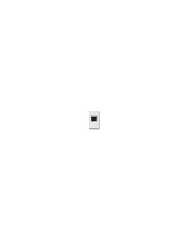Ave 45b26 presa telefonica 6pin banquise