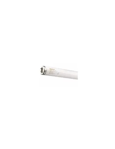 Tube fluorescent Sylvania 0000423 20W//T12 démarrage rapide IRS 640 (133-CW)