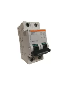 Merlin gerin 24452 interruttore automatico c60n 2p 20a c ul//csa