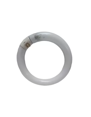 Sylvania 004747 lampe néon circulaire fc 22w//cw