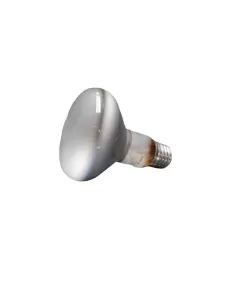 Ledvance ve40 vegalux r80 fascio 80  e27 40w