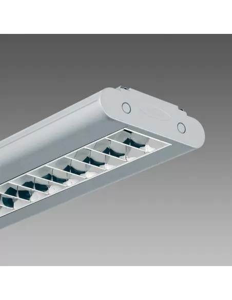 Disano 14381200 Giano 1-t5 2230 fl1x35 cellule argent sablé