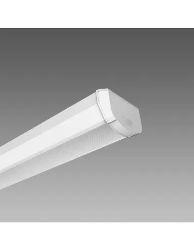 Disano 11557008 disanlens mk 601 fl 1x18 cel blanc
