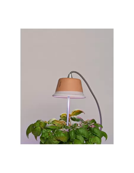 Linea light 8010 chlorophyll classic red cable