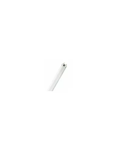 Ledvance l3636 l 36w//36 natura               osram