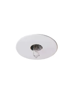 Seite 1204-s inkl. Scheibe d 40 Halo s//l Okt