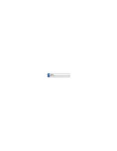 Philips mltperf3184 master ledtube perf 1500mm 31w840 t8 c