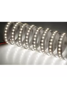 Bande LED Noble Lighting 80010//n 5 m 4,8 W//m 4K 120 V IP67 24 V