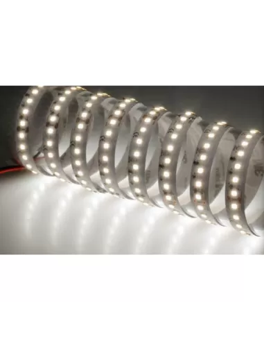 Bande LED Noble Lighting 80010//n 5 m 4,8 W//m 4K 120 V IP67 24 V