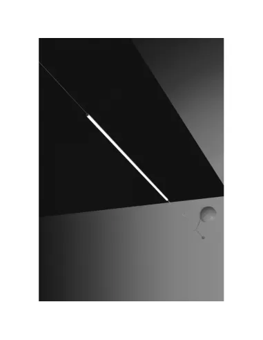 Lampe torche Ego Light 1565 02//100//ww, câble de suspension, 18 W, 3000 K