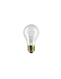 Leuci 000481 0101 ampoule 12 V 100 W E27 transparente