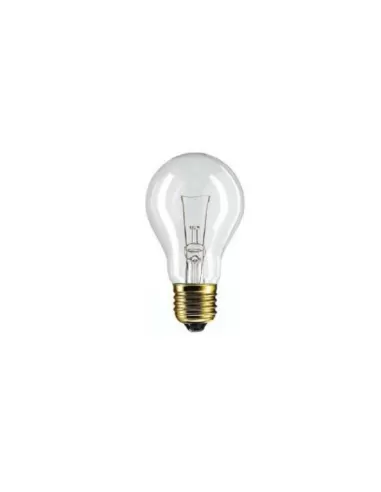 Leuci 000481 0101 ampoule 12 V 100 W E27 transparente