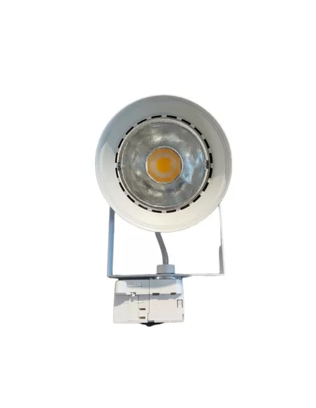 Projecteur Reggiani 4846 WW10, rouleau OS 22 W LED blanche