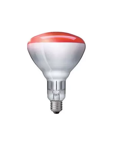 Ledvance n25r35 decor a red 25w 240v e27 35x1