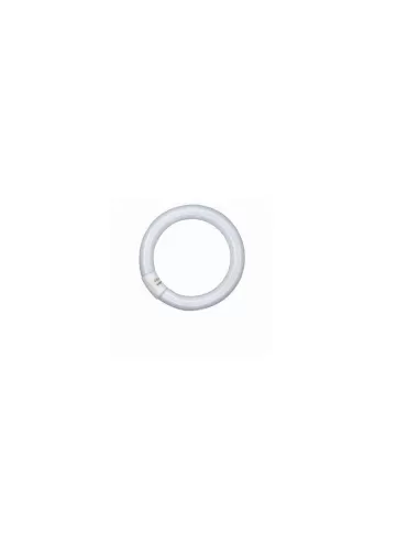 Ledvance l22827cn l 22w//827 c g10q
