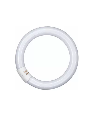 Ledvance l22640c l 22w//640 c g10q 12x1 e [l22840c]