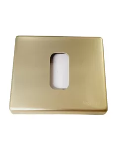 Bticino 065301 placa gl2000 1p caja redonda dorada
