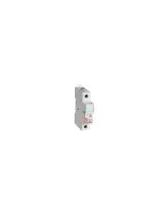 Porte-fusible Legrand 005810 c//ct dom 1p 250v 10a 8,5x23