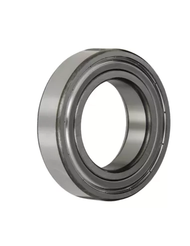 Roulement à billes radial Skf 6005 – 2z//c3