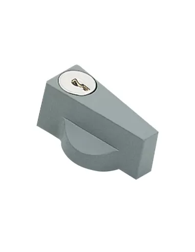 Hager fl96z handle key orion plus ral7046