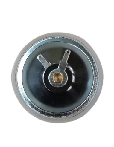 Microphone de remplacement Bticino MC1000