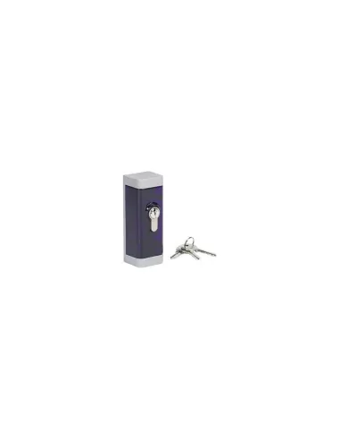 Gibidi au01960 dcs300 battery wall key selector