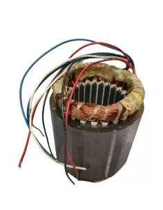 Came 119ric043 induit