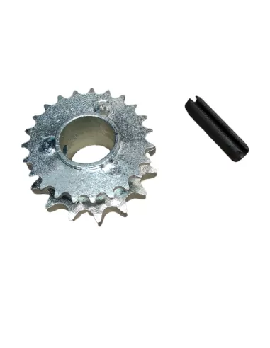 Pignon de dispositif de transmission par chaîne Came 119ric049