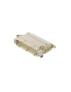 Fruits sp conn mors 24p s