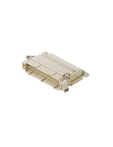 Fruits sp conn mors 24p s