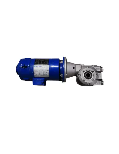 Moteur Brusatori cc63l cc 0,37kw//0,5hp 3000rpm170//190