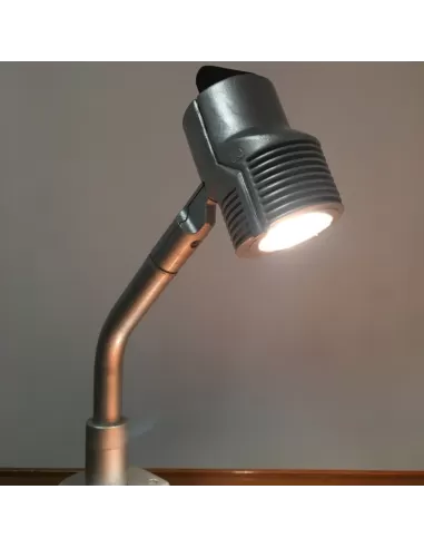 Reggiani 0 06123 0026 night gray pole wall light with satin glass e27