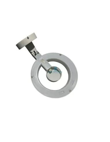 Lice applique 1x22w fluo/1x60w halo bianco ip20