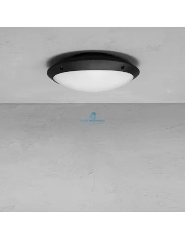 Wiva 51300017 Wli bulk downhill pl incl 20w nw vw