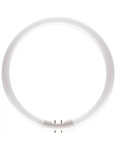 Lampe fluorescente Philips Master T5 927965084013 23,5 W 2GX13 G Blanc froid