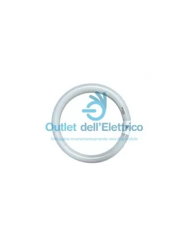 Leuci 492279.0101 T9 tri-estrella circular 40w g10q tr865