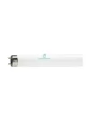 Wiva 11061100 Tubo Fluorescente Trifosforo T8 18w 2700°k luce calda L.600mm dm.26 g13