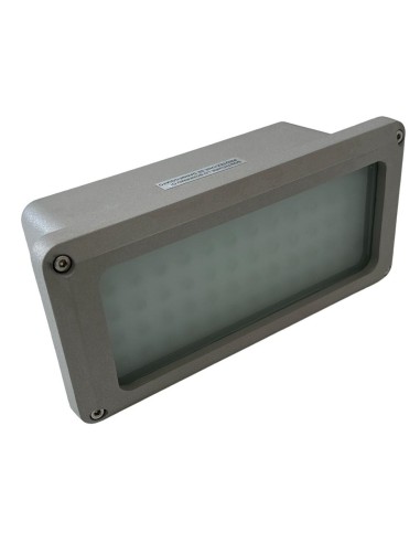 Poliplast 400526 Elsa luce segnapasso 60 led ip54 luce fredda