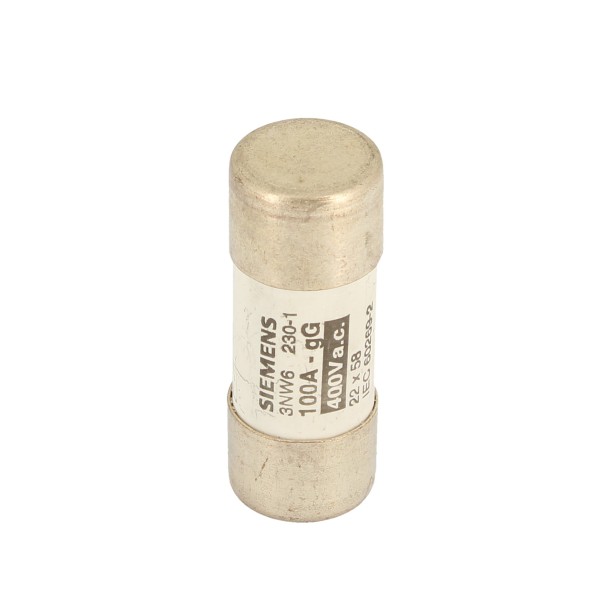 Siemens 3nw62301 cylindrical fuse 22x58 100a gl//gg