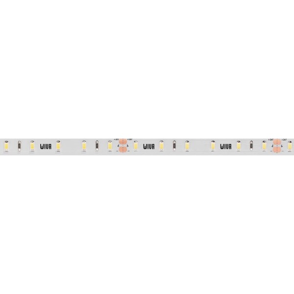Bande LED Lumineuse Wiva 41700118 | 5 W, 24 V, 4K | Haute qualité, Cri95