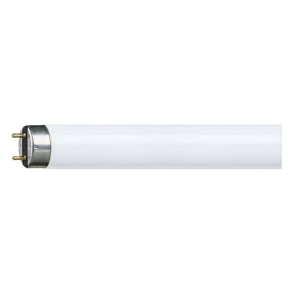 Tube fluorescent Philips Master TL-D Super 80 T8 G13 15 W/865, lumière froide 6 500 K, longueur 451 mm