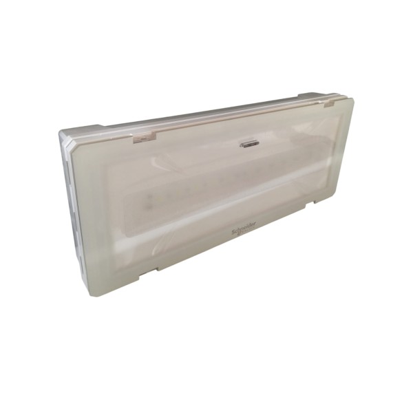 Lampe de secours LED intelligente Schneider OVA48302 EXW SL200 IP65/ACT/180 lm/2 h équivalent 8/11 W
