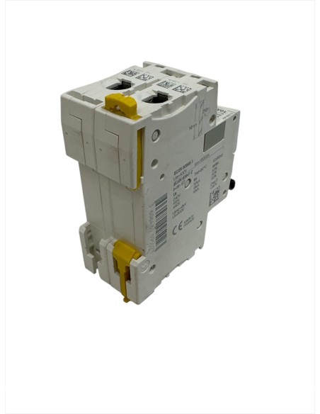 Schneider A9F89210 Interruttore magnetotermico Ic60h 2p c  10a 10ka