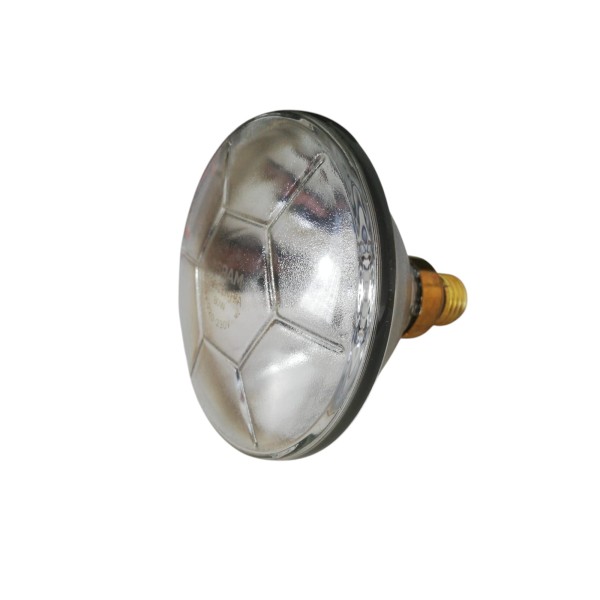 Ledvance PAR80FL Concentra PAR38EC E27 80W Floh