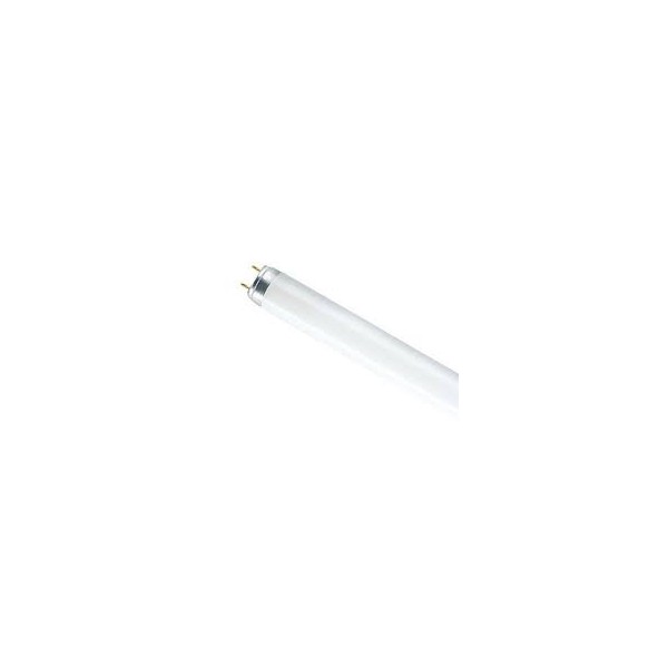 Tube fluorescent linéaire Mazda 1098005 T8 G13 15 W/54, lumière froide 6 500 K, longueur 451 mm