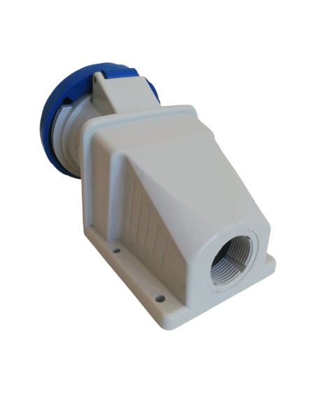 Toma de corriente Schneider 82266 IP67 2p T 32a 250v