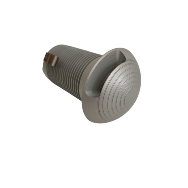 Gpe LED champignon 1 pouce 1 LED bi 230 V satiné IP67